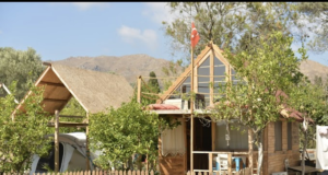 Bodrum’da Mavi Yeşille Buluşma: Kamp Alanları Rehberi