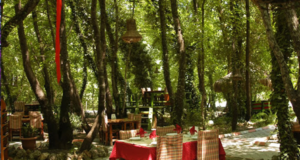 Dalyan’da Günlük Lezzet Durağı: Günlük Restaurant