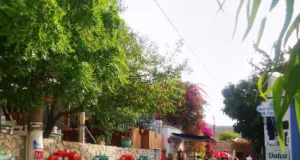 Datça Gezilecek Yerler Masalsı Bir Yolculuk