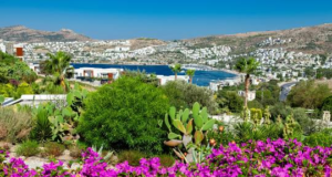 Gündoğan: Bir Yerel Sakinin Gözünden