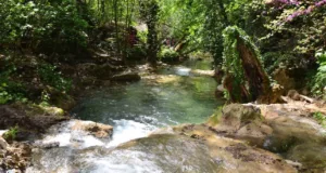 Marmaris’in Gizli Cenneti: Turgut Şelalesi