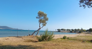 Uslu Plajı: Haritalı Yol Tarifli