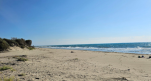 Kumluova Plajı: Haritalı Yol Tarifli