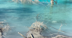 Kül Dağı Göleti: Yatağan’ın Büyülü ve Çelişkili Mavi Gölü