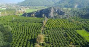 Okçular Mahallesi: Muğla’nın Saklı Cenneti