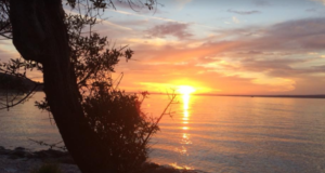 Akbük Çamlaraltı Koyu: Sakinliğin ve Doğallığın Buluştuğu Cennet