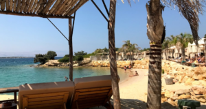 The Beach of Momo: Çeşme’nin Sofistike ve Eğlenceli Kıyısı