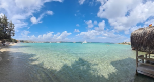 Altınyunus Sahili: Ege’nin Saklı Cenneti