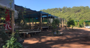 Son Çare Camping: Nasıl Gidilir ?