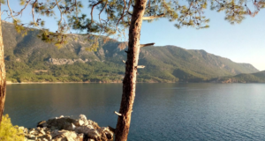 Hurmalık Koyu: Hakkında Bilgiler