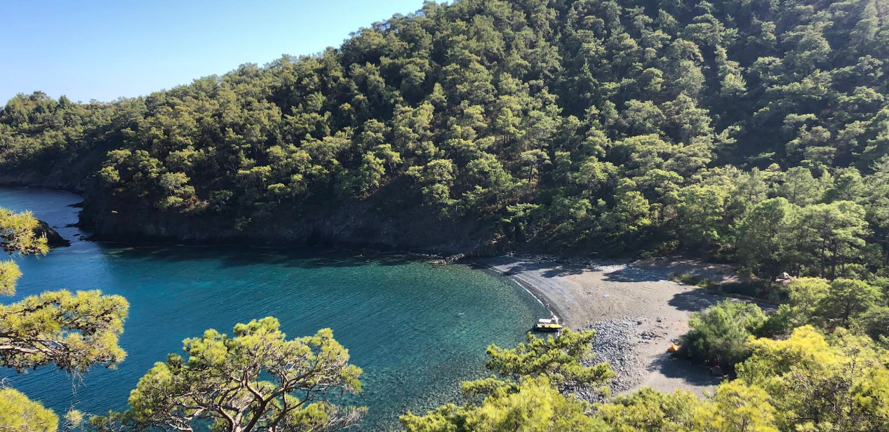 Beycik Bükü ; Berrak Suları