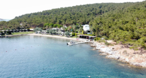 Ortunç Koyu : Özellikleri