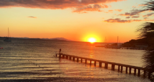 Güvercin Koyu: Ayvalık’ın Saklı Cenneti