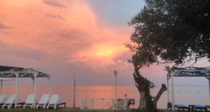 Safir Beach & Garden: Doğanın Kalbinde Bir Tatil Cenneti