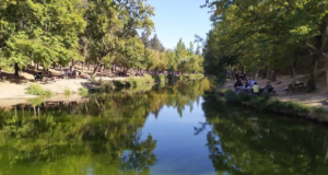 Değirmen Boğazı Tabiat Parkı: Doğayla Baş Başa Anlamlı Bir Tatil