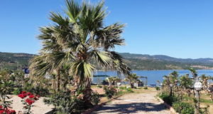 Ayvacık Belediyesi Tesisleri: Uygun Fiyatlı Tatil