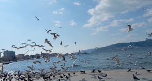 Çanakkale Kordon Çevresinde Gezilecek Tarihi Yerler
