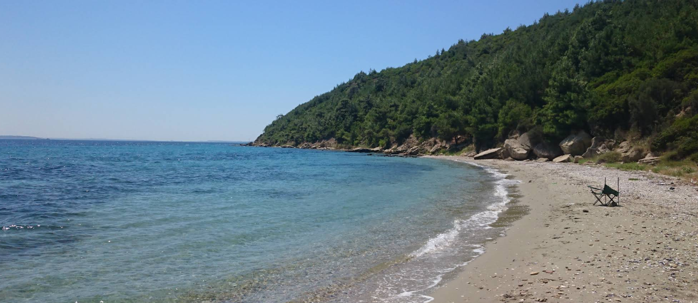 Domuzdere Koyu: Çanakkale’nin Gizli Kalmış Cenneti