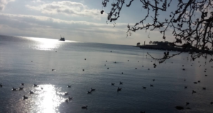 Kurbağlı Sahil: Trakya’nın Sakinliğiyle Saros’un Berraklığının Buluşma Noktası