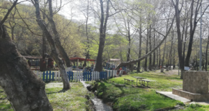 Bayramdere Piknik ve Mesire Alanı: Doğanın Kalbinde Huzurlu Bir Mola