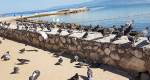 Burgaz Halk Plajı: Mudanya’nın Sakin Kıyısı