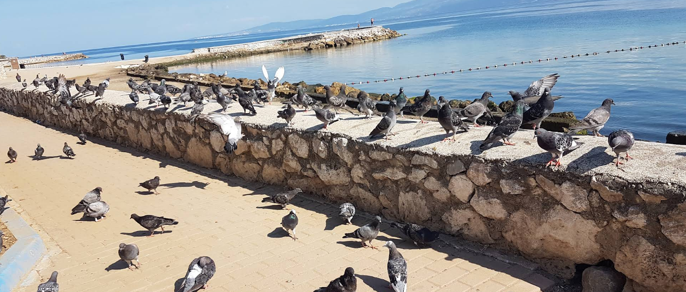 Burgaz Halk Plajı: Mudanya’nın Sakin Kıyısı