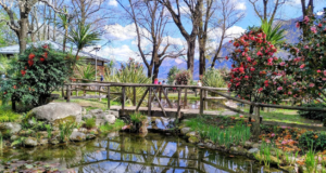 Parco delle Camelie: Locarno’nun Renkli Doğa Harikası