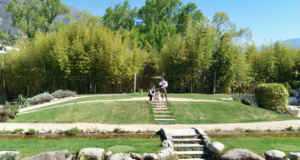 Falconeria Locarno : Hayvanat Bahçesi