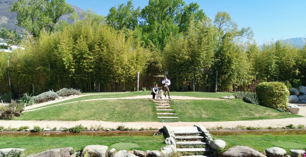 Falconeria Locarno : Hayvanat Bahçesi