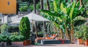 Art Hotel Riposo: Ascona’da Sanat, Huzur ve Tatilin Büyüleyici Buluşması