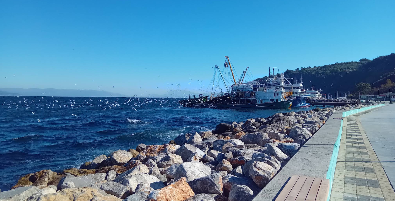 Trilye Sahil ile İlgili Bilinmesi Gerekenler