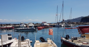 Kumyaka Marina Hakkında Bilgiler