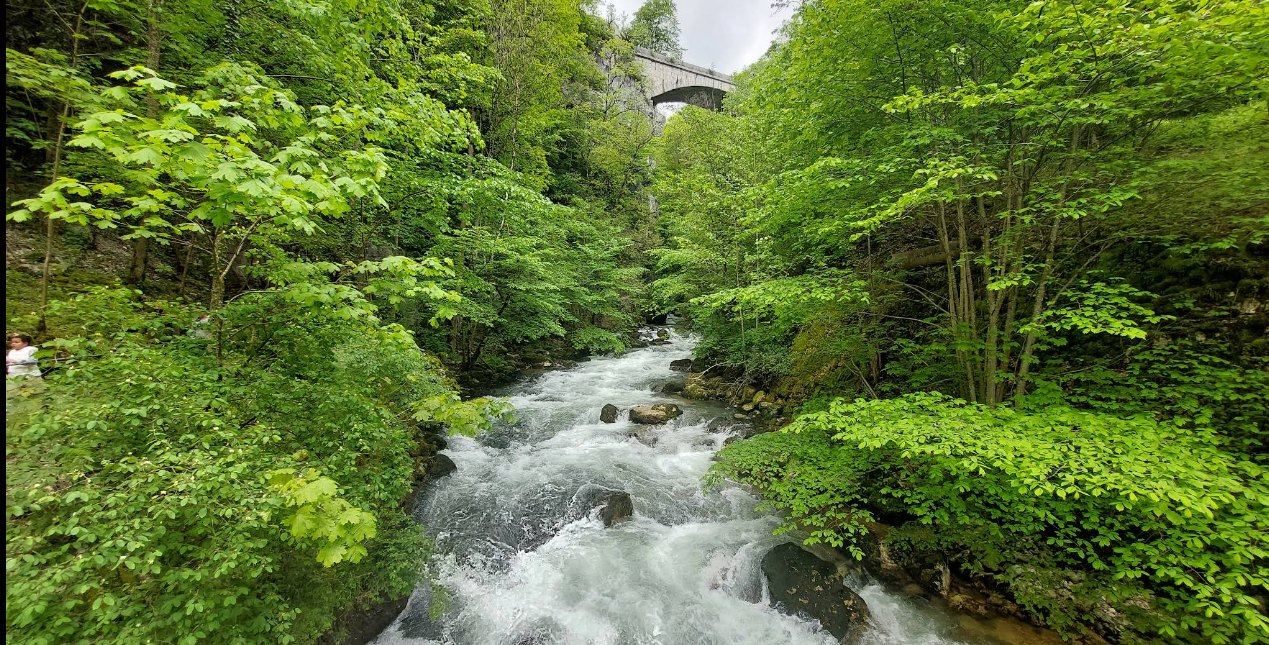 Taubenlochschlucht: İsviçre’nin Büyüleyici Doğa Harikası