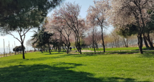 Tuzla Sahil Parkı: İstanbul’un Huzur ve Denizle Buluşan Nefes Noktası