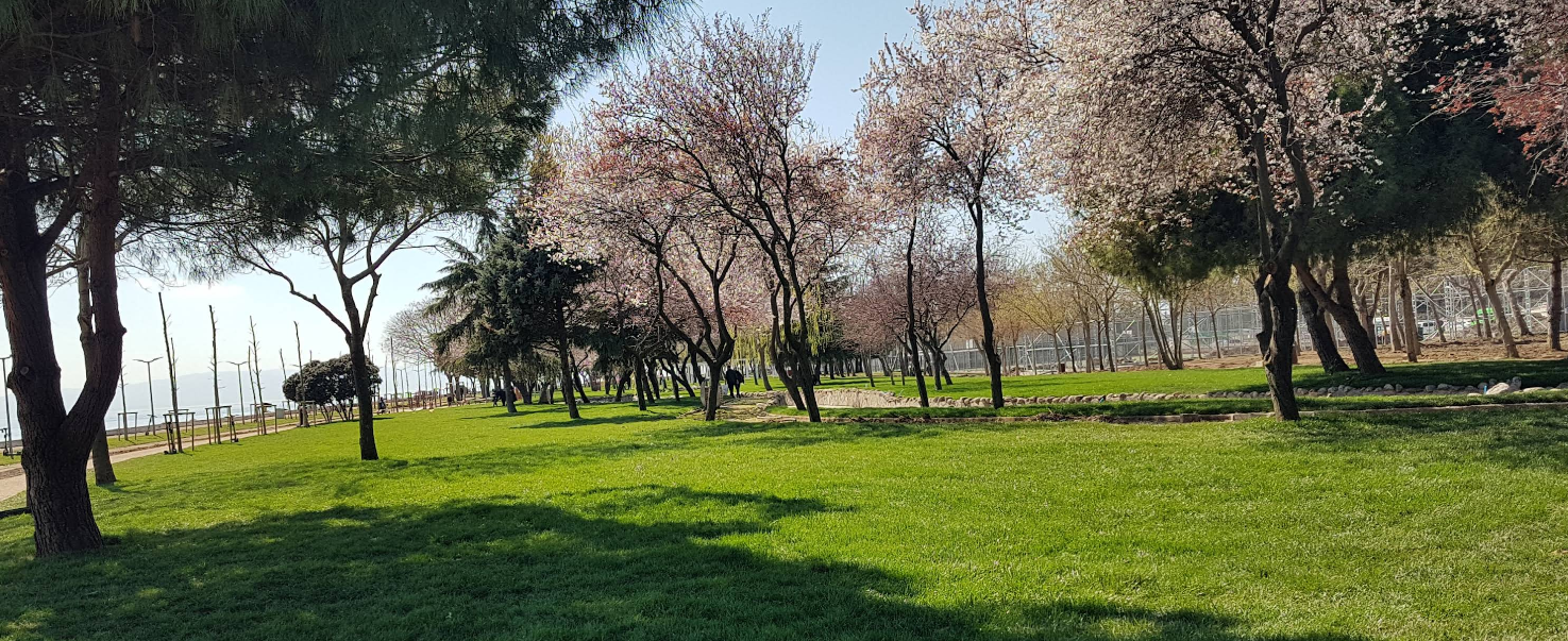 Tuzla Sahil Parkı: İstanbul’un Huzur ve Denizle Buluşan Nefes Noktası