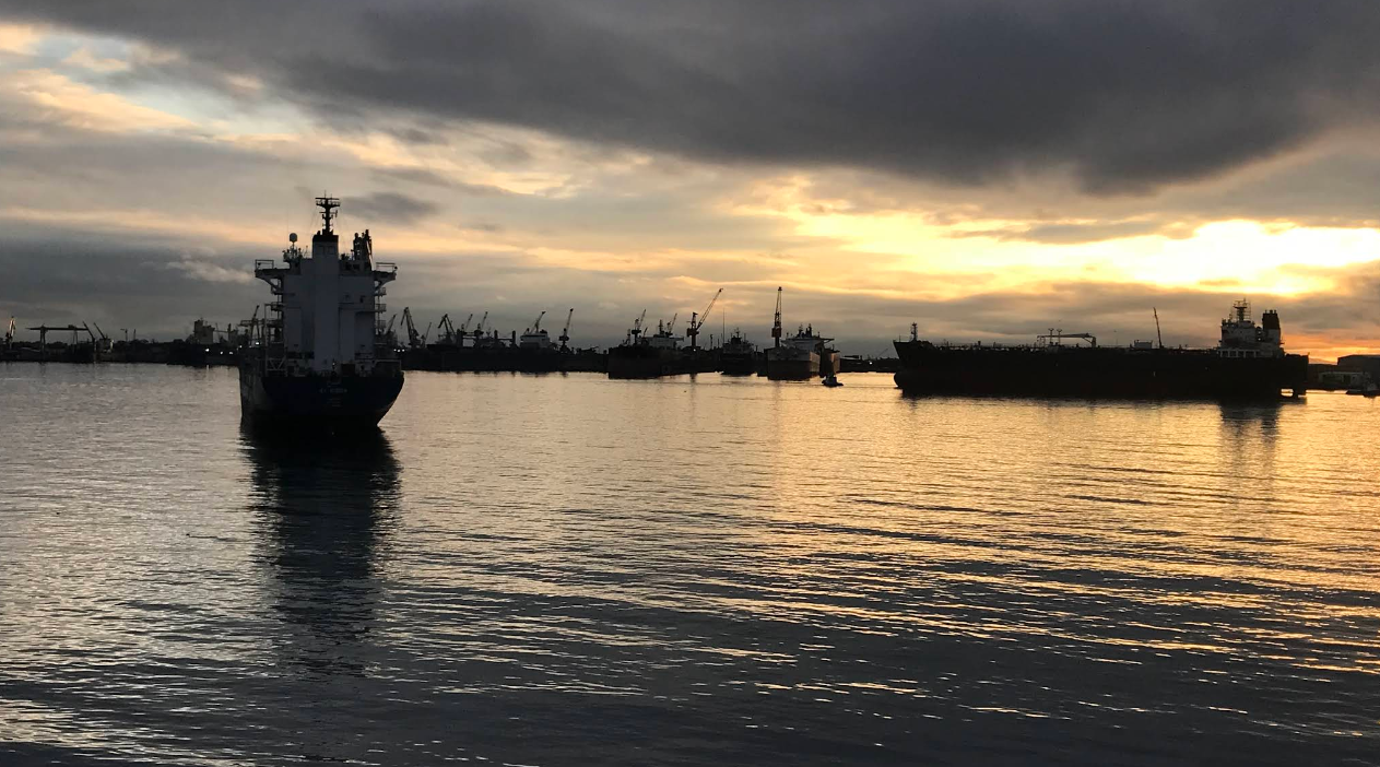 Pendik Belediyesi Güzelyalı Sosyal Tesisleri: İstanbul’un Denize Açılan Huzur Kapısı