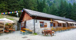 Malga Sorgazza: İsviçre Alplerinde Bir Doğa Masalı