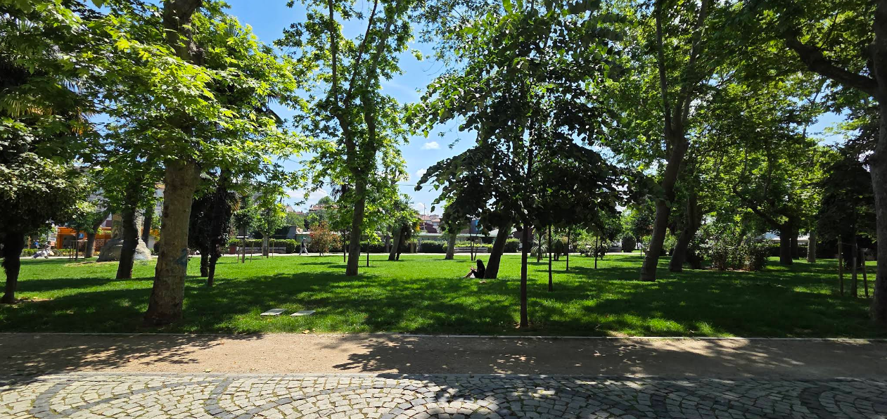 Kadıköy Yoğurtçu Parkı: Şehrin Kalbinde Saklı Bir Nefes Alanı