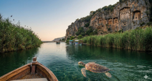The Ultimate Guide to Dalyan Boat Trips: Exploring Turkey’s Emerald Delta